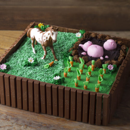 Animal Farm Cake